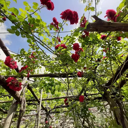 بيت للعطل Casa Puntaferano فيكو إيكوينس